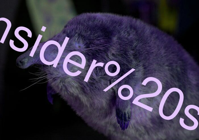 consider size,